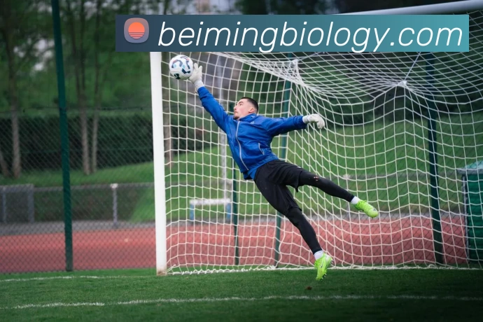 华体会手机网页版平台生态图