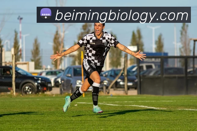 App Interface Preview