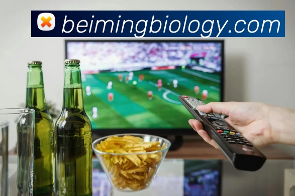 华体会手机网页版APP 封面图