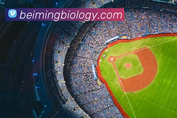 数据防护可视化